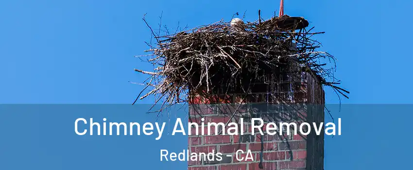  Chimney Animal Removal Redlands - CA