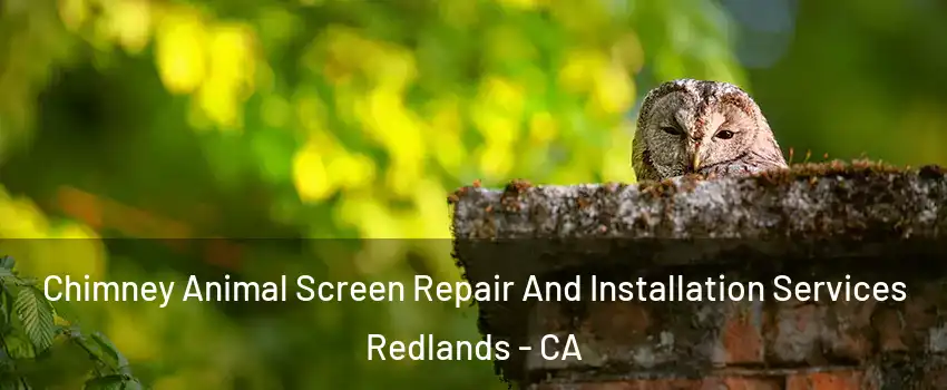  Chimney Animal Screen Repair And Installation Services Redlands - CA